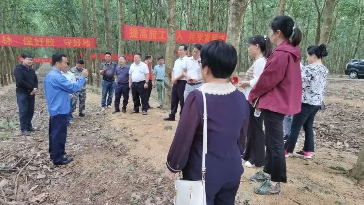 全國割膠冠軍張健給各單位學(xué)員做標(biāo)準(zhǔn)化膠園建設(shè)及割膠技術(shù)的經(jīng)驗(yàn)介紹。.jpg